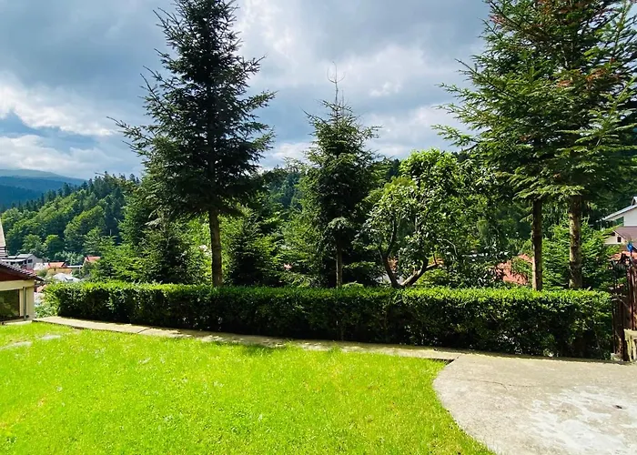 Pensiunea DEDU Buşteni